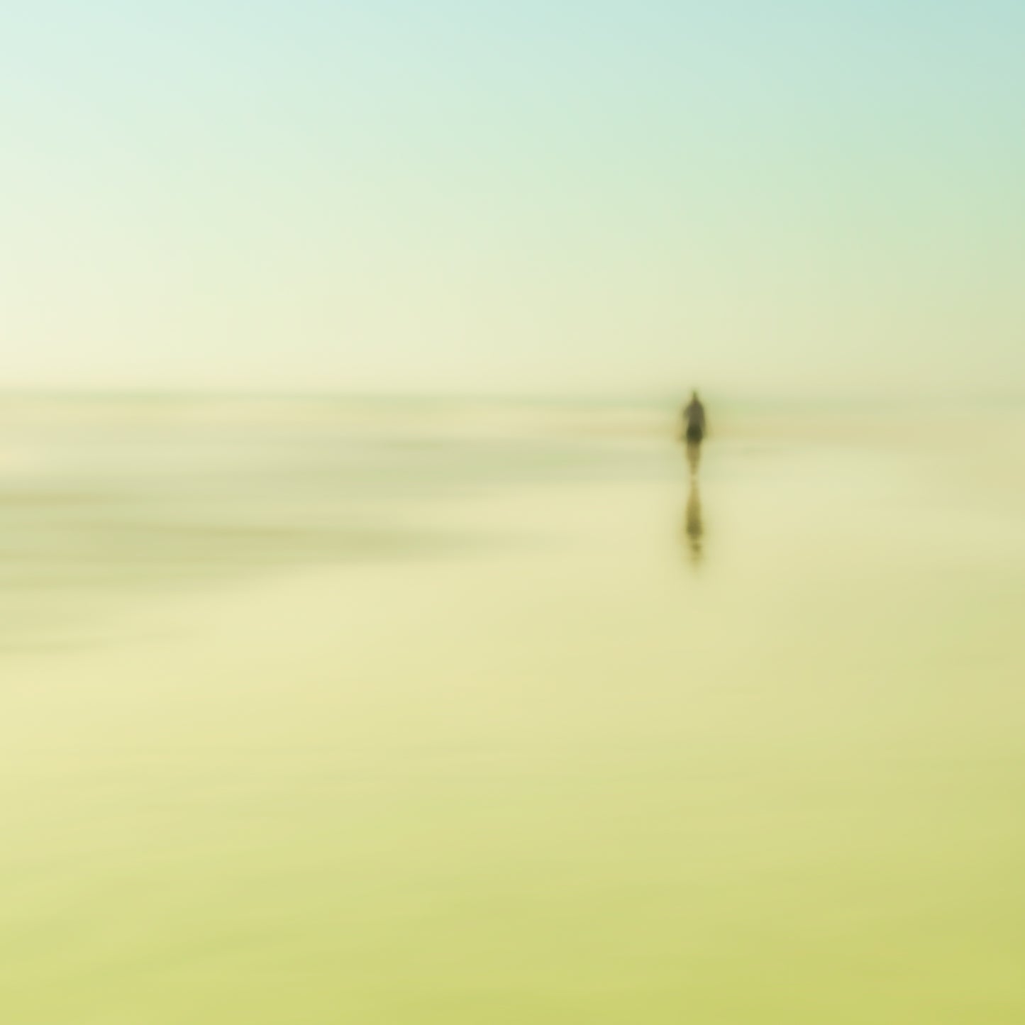 Into The Great Wide Open