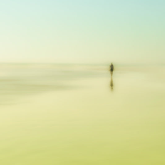 Into The Great Wide Open